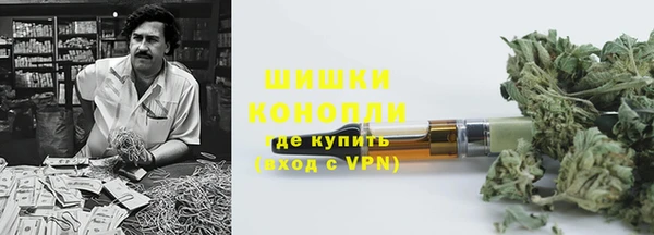 шишки Балабаново