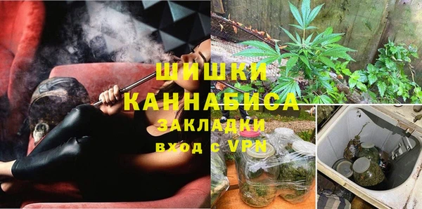 PSILOCYBIN Балахна