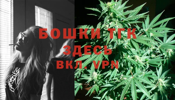 шишки Балабаново