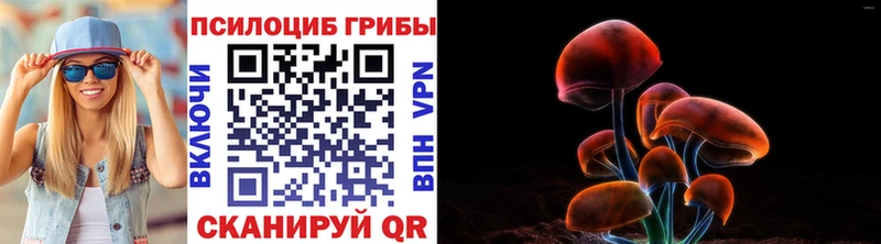 Псилоцибиновые грибы Cubensis  магазин продажи   Тихвин 