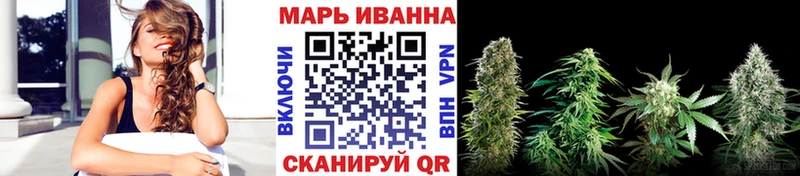 Конопля конопля  Тихвин 